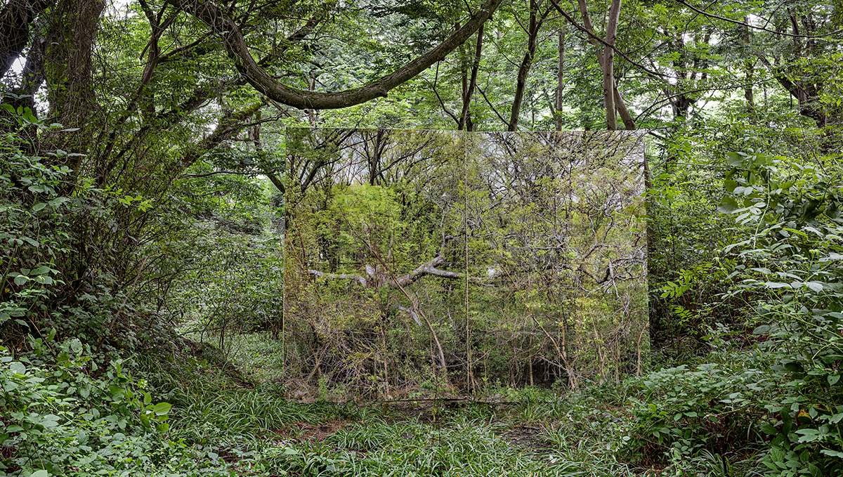 A billboard with an image of a green, dense forest set in a similarly lush forest setting.